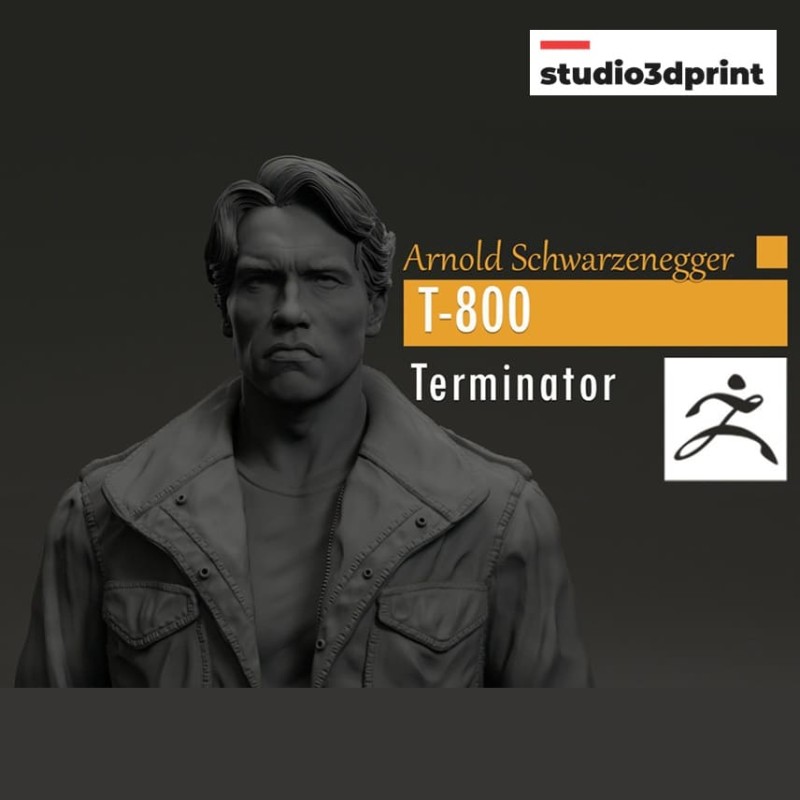 Arnold Schwarzenegger T 800 Terminator 1984 STL 3D Print Files 3D