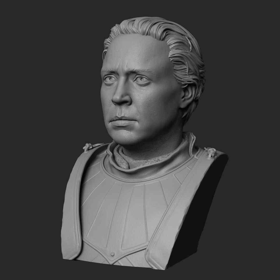 Game of Thrones Brienne of Tarth Bust STL Files for 3D Print 3D