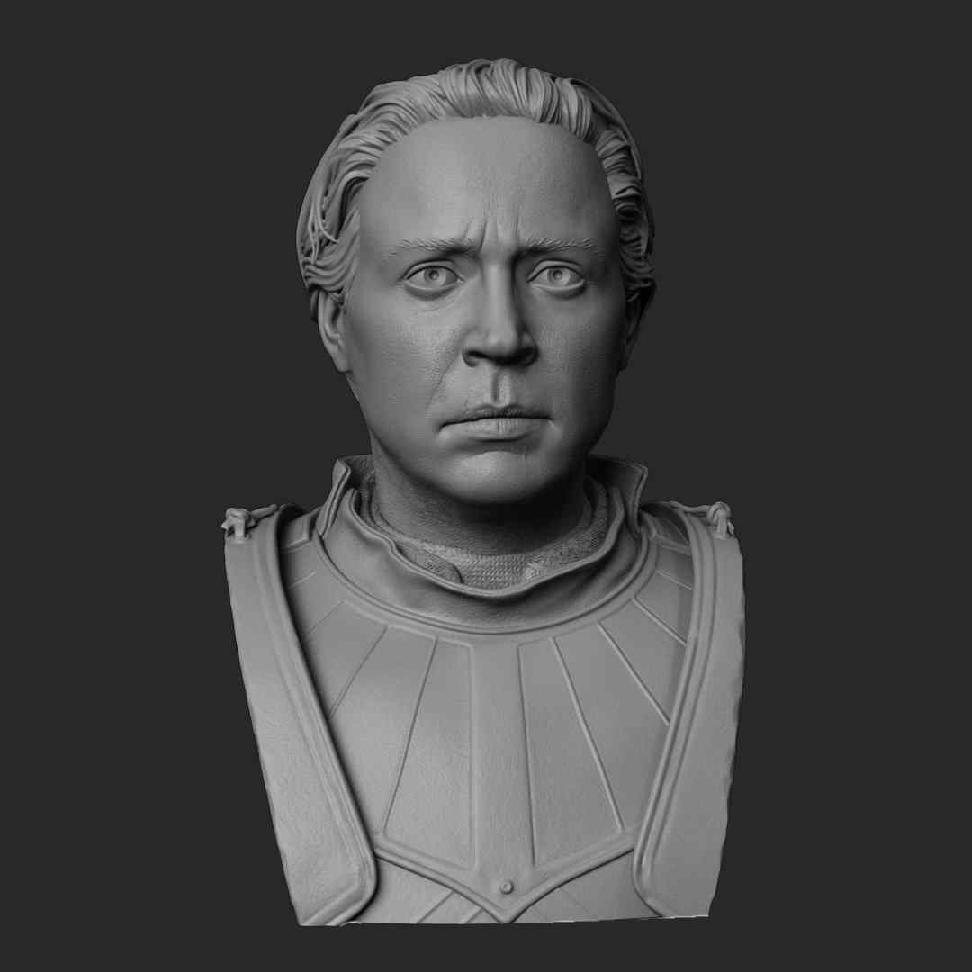 Game of Thrones Brienne of Tarth Bust STL Files for 3D Print 3D