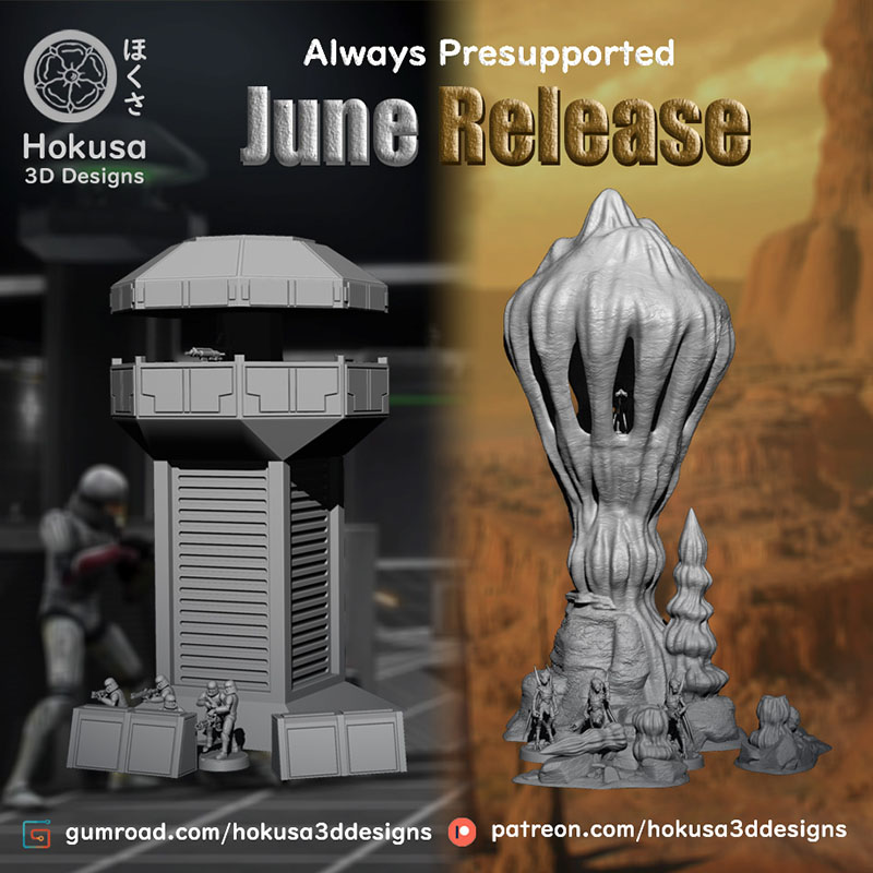 June 2022 Hokusa 3D Designs – 3D Kiee Shop