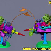 017gokupilot