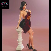 Lois Lane STL - DC Comics - 3D Printable Figure