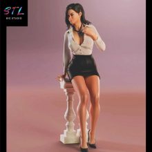 Lois Lane STL - DC Comics - 3D Printable Figure
