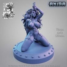 Akira Pinup - STL 3D print files