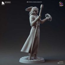Gale Baldurs Gate 3 - STL 3D print files