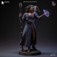 Gale Baldurs Gate 3 - STL 3D print files