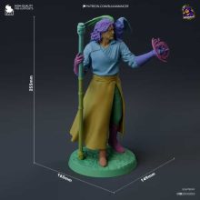 Gale Baldurs Gate 3 - STL 3D print files