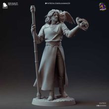 Gale Baldurs Gate 3 - STL 3D print files