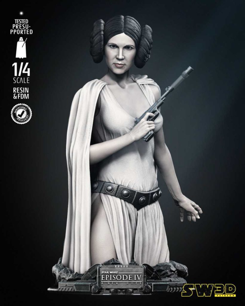 New Hope Leia Bust - STL 3D print files