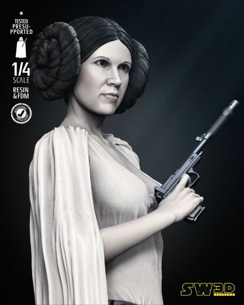 New Hope Leia Bust - STL 3D print files