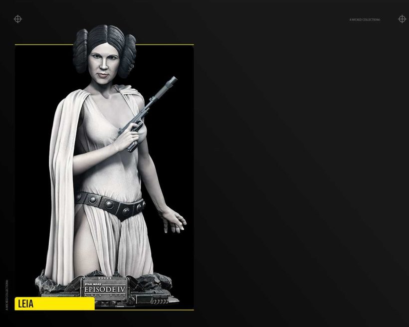New Hope Leia Bust - STL 3D print files