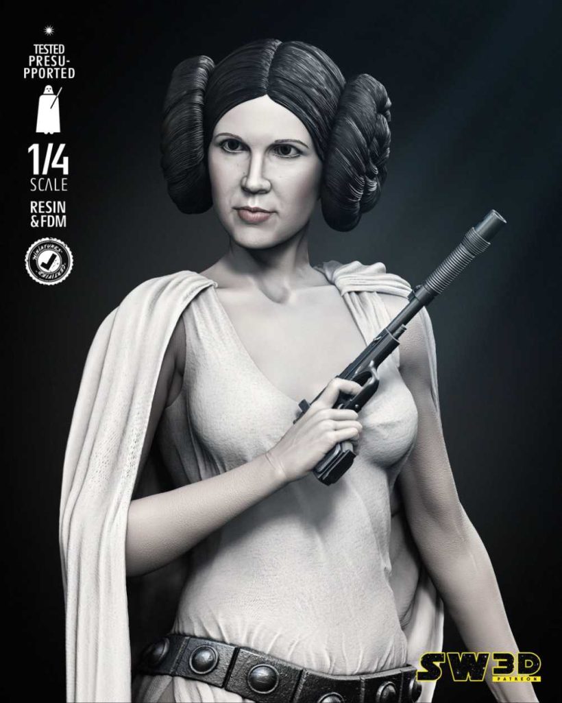 New Hope Leia Bust - STL 3D print files