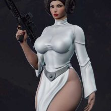 Princess Leia NSFW