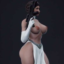 Princess Leia NSFW
