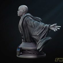 Star Wars Mace Windu Bust - STL 3D print files