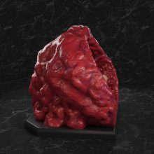 Taimanin Akiyama Rinko - STL 3D print files