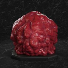 Taimanin Akiyama Rinko - STL 3D print files