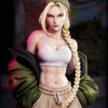 Cammy STL 5 (Street Wear) + Bust + NSFW