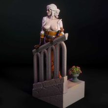 4216 Ciri NSFW - Witcher - STL 3D Print Files X 3D Animations