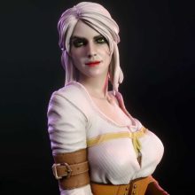 4216 Ciri NSFW - Witcher - STL 3D Print Files X 3D Animations