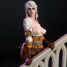 4216 Ciri NSFW - Witcher - STL 3D Print Files X 3D Animations
