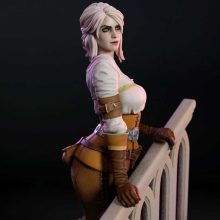 4216 Ciri NSFW - Witcher - STL 3D Print Files X 3D Animations
