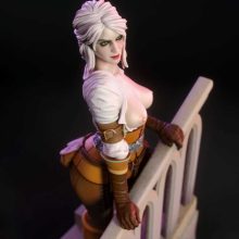 4216 Ciri NSFW - Witcher - STL 3D Print Files X 3D Animations