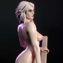 4216 Ciri NSFW - Witcher - STL 3D Print Files X 3D Animations