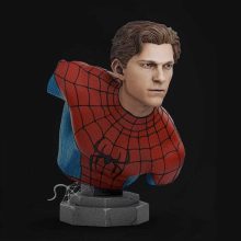 Spider-Man: Brand New Day - STL 3D print files
